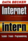 Internet intern